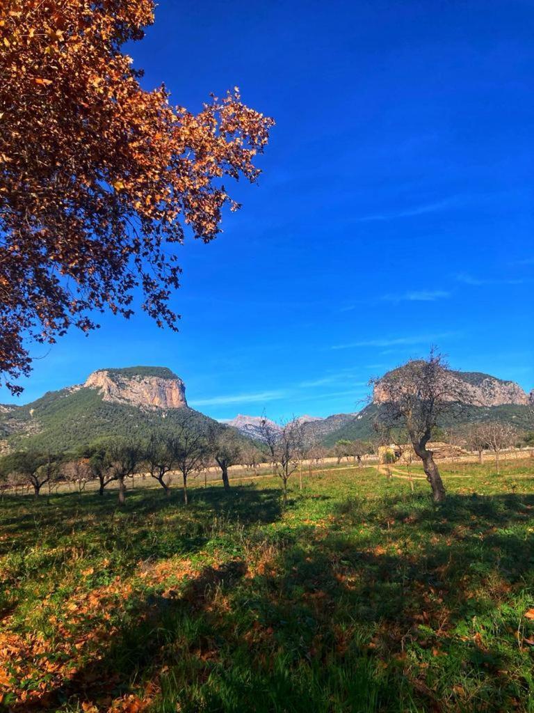 Son Ribes Villa Alaro Luaran gambar